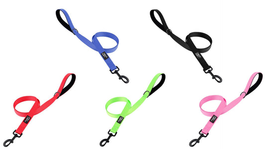 What Lead Should I Use With My Sighthound?