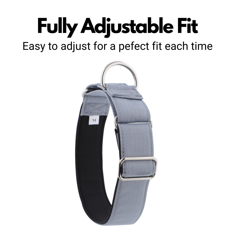 Grey Padded Martingale Collar for Sighthounds