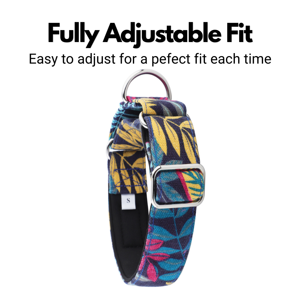Floral Martingale Collar for Sighthounds - Padded