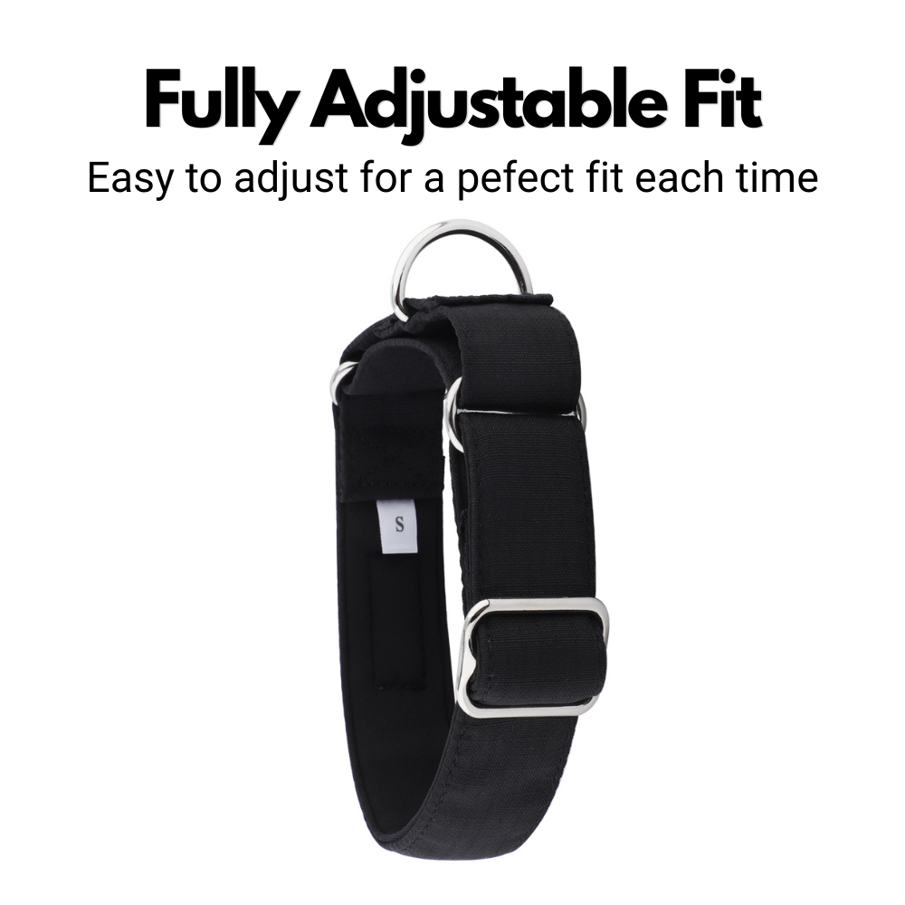 Black Padded Martingale Collar for Sighthounds