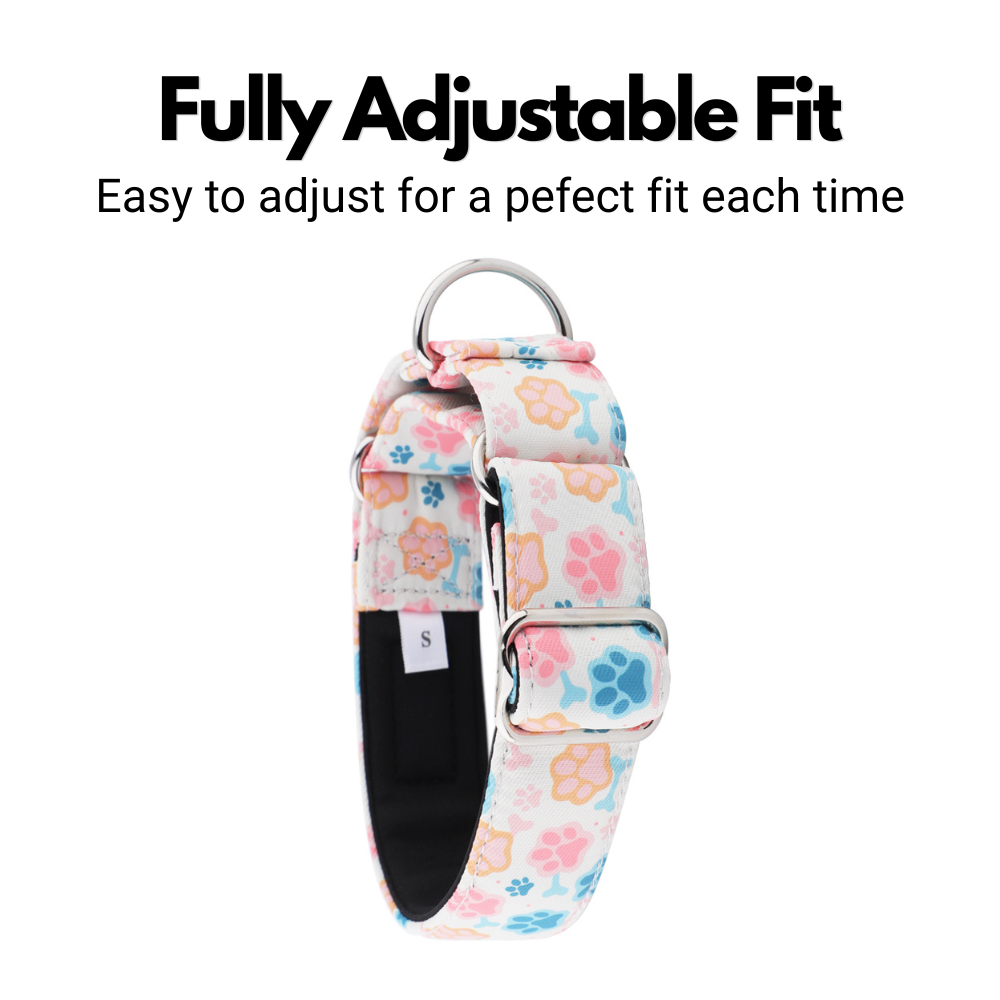 Paw Print Martingale Collar for Sighthounds - Padded
