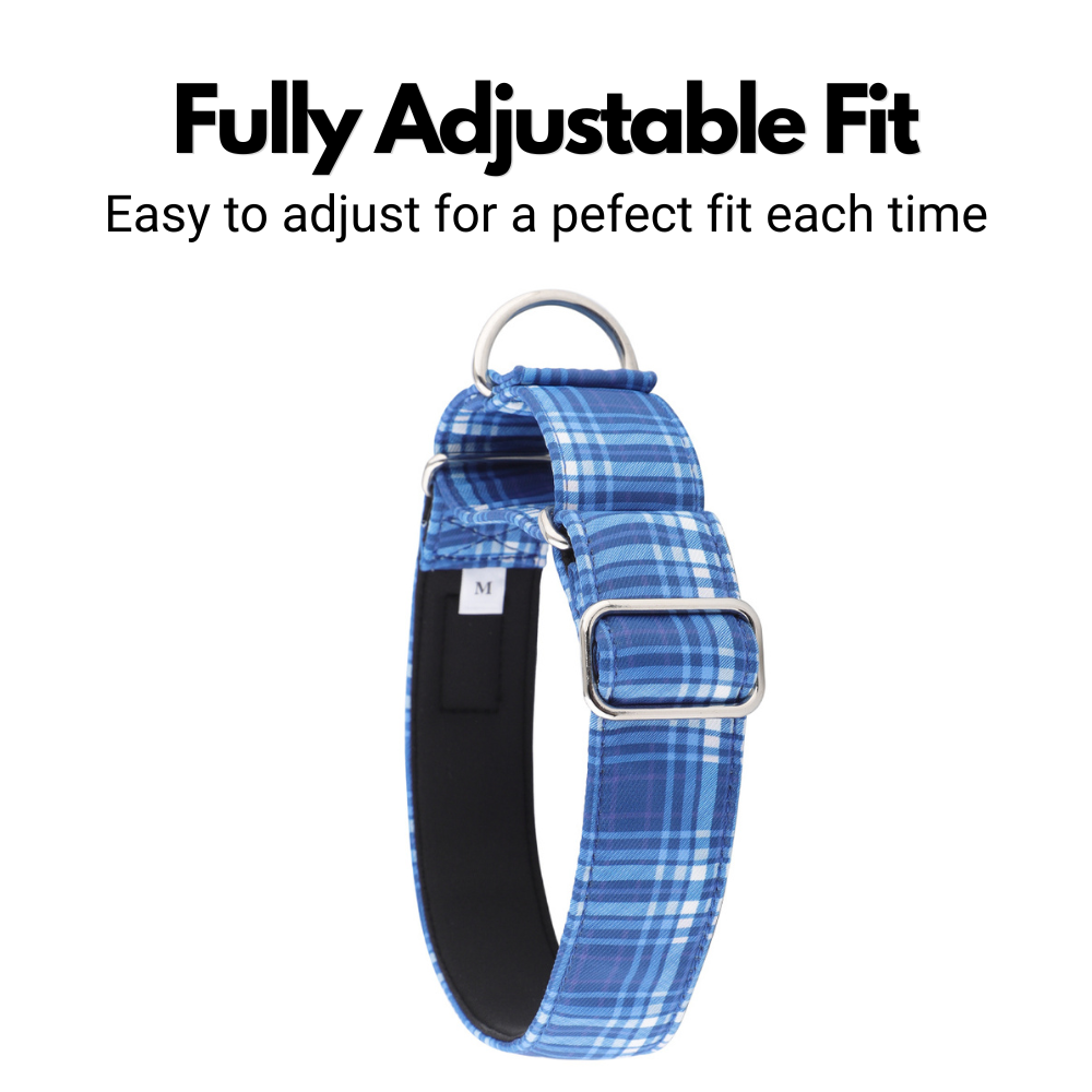 Blue Tartan Check Martingale Collar for Sighthounds - Padded