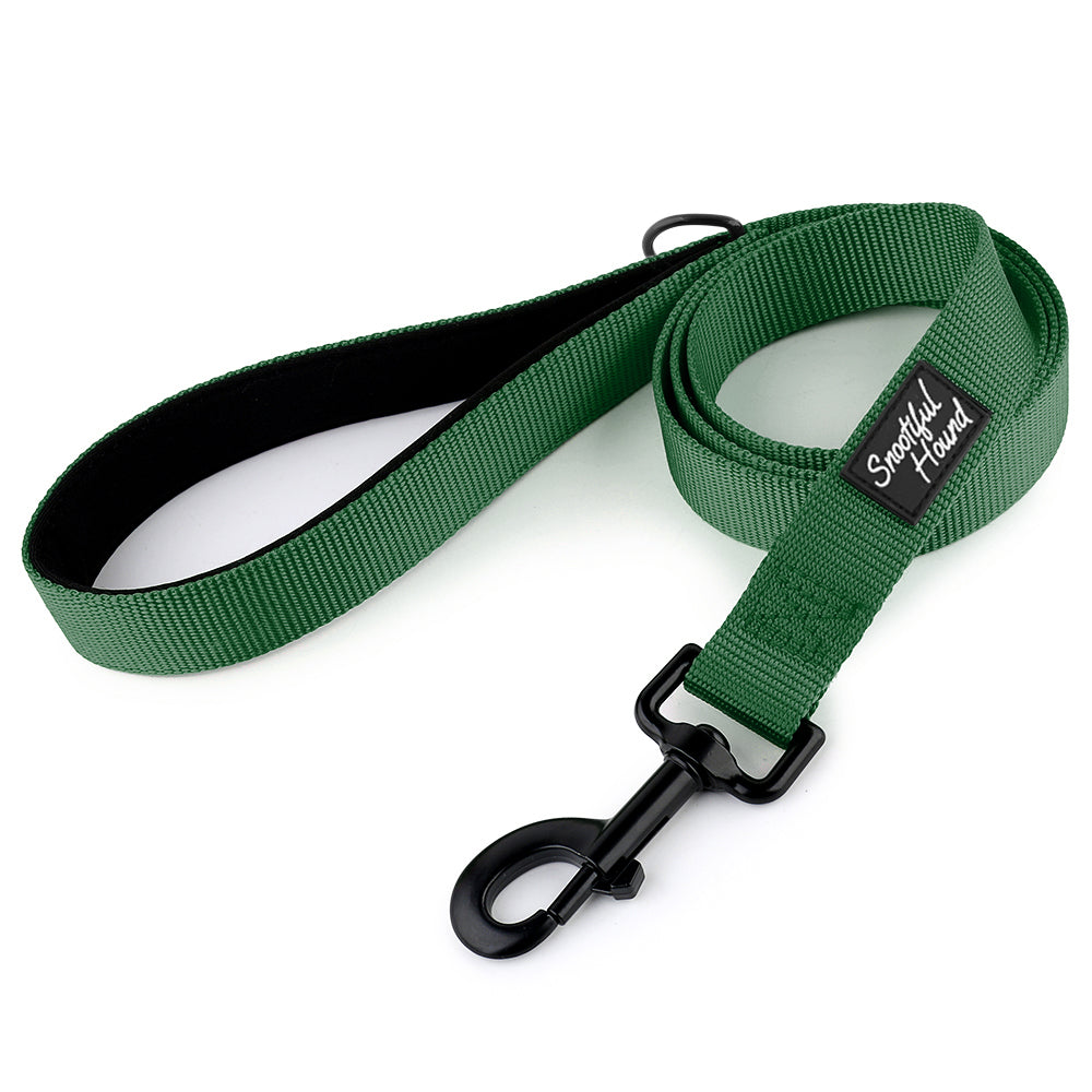 green lead for sighthounds