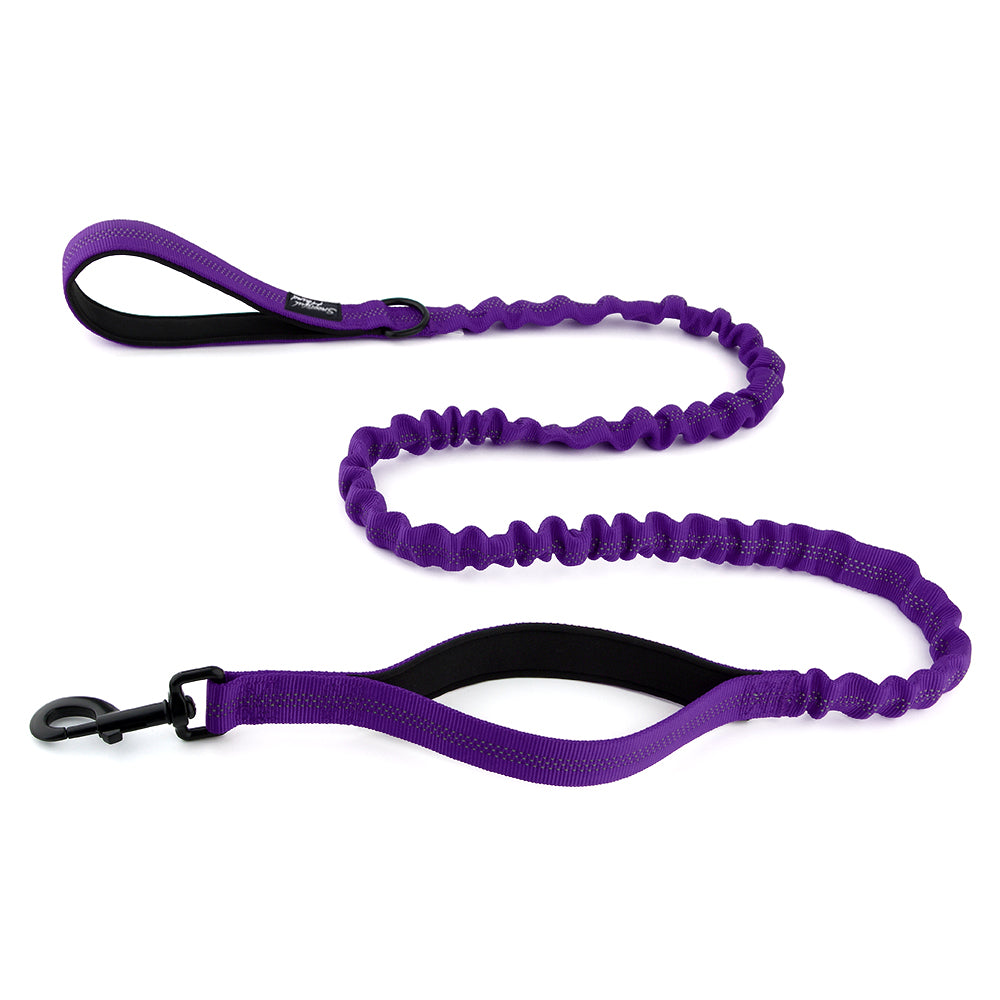 Bungee Dog Lead - Shock Absorbing Lead With Double Handles