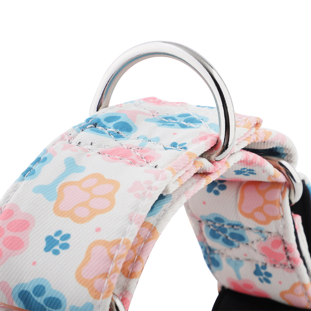 Paw Print Martingale Collar for Sighthounds - Padded