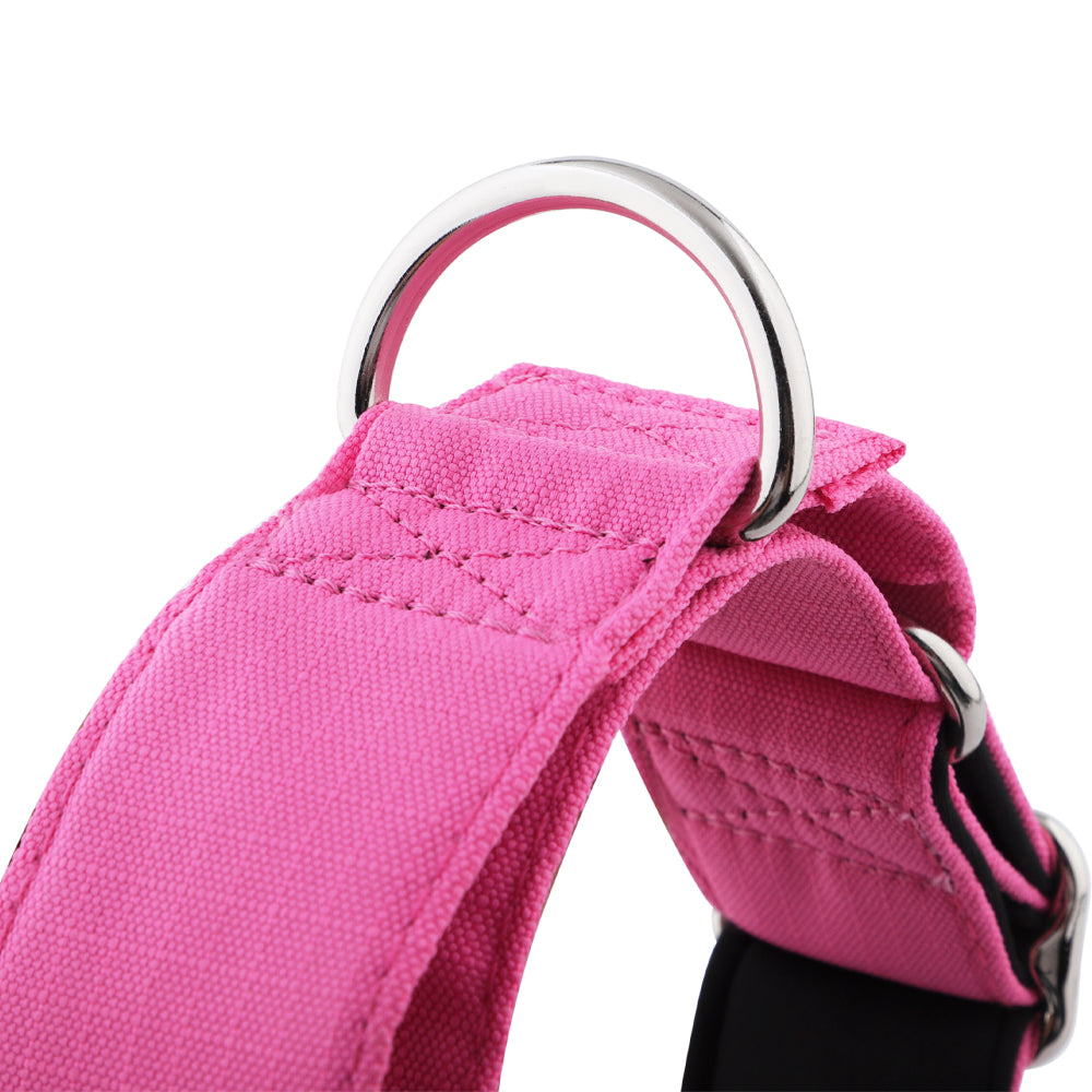 Pink Padded Martingale Collar for Sighthounds