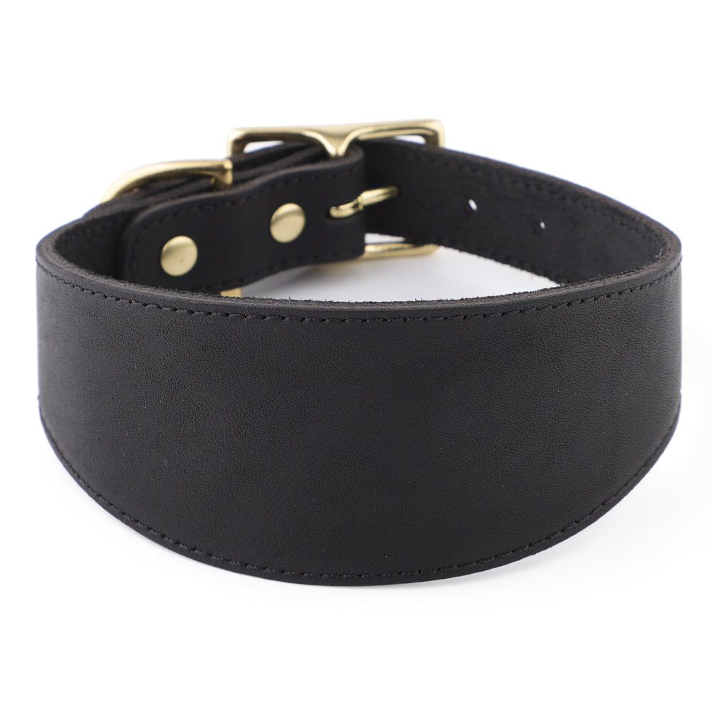 black leather greyhound collar