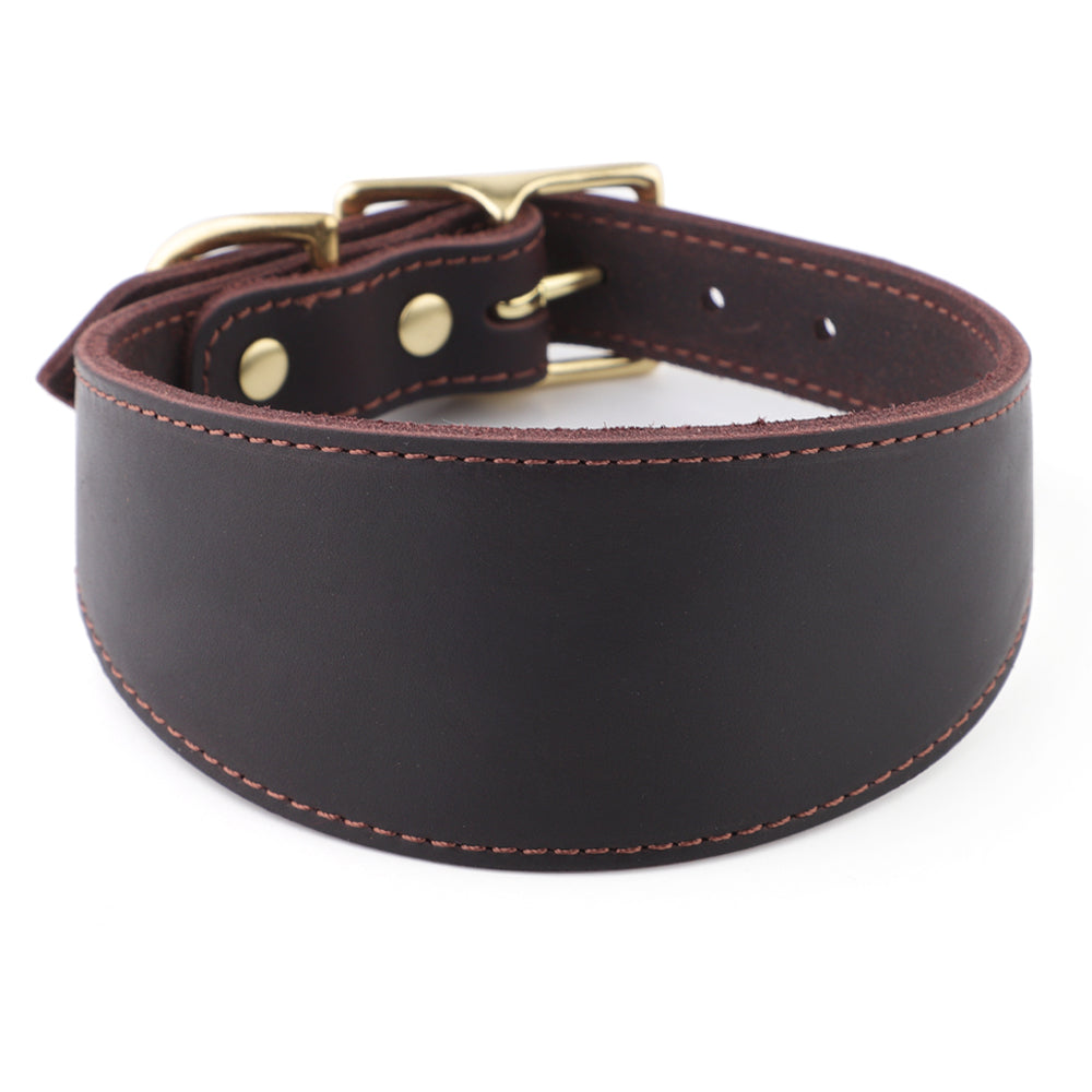 Brown leather fishtail collar with brass hardware on a white background