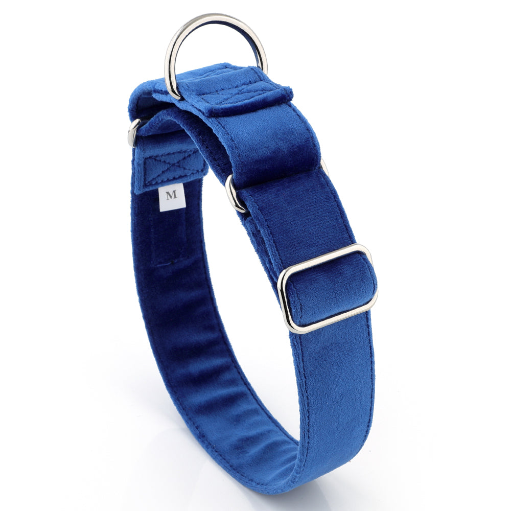 Blue Velvet Martingale Collar for Sighthounds - Soft & Luxurious
