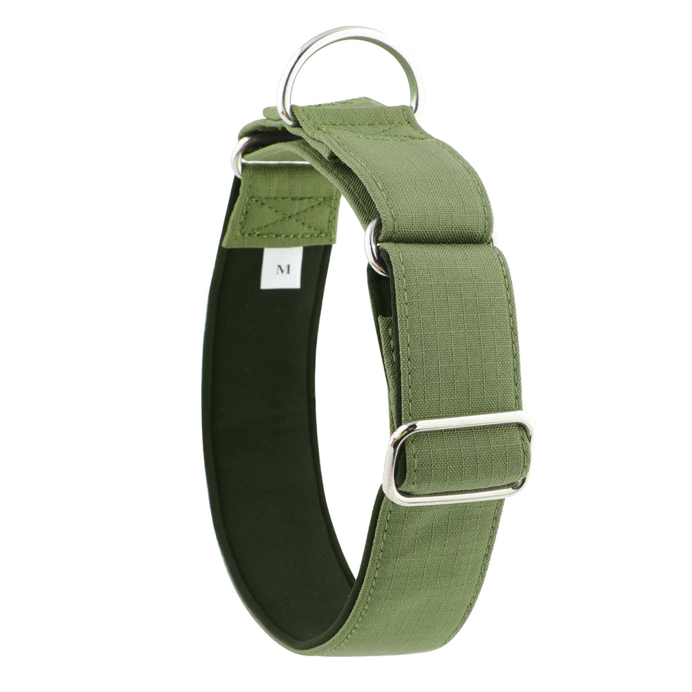 Olive Green Padded Martingale Collar for Sighthounds