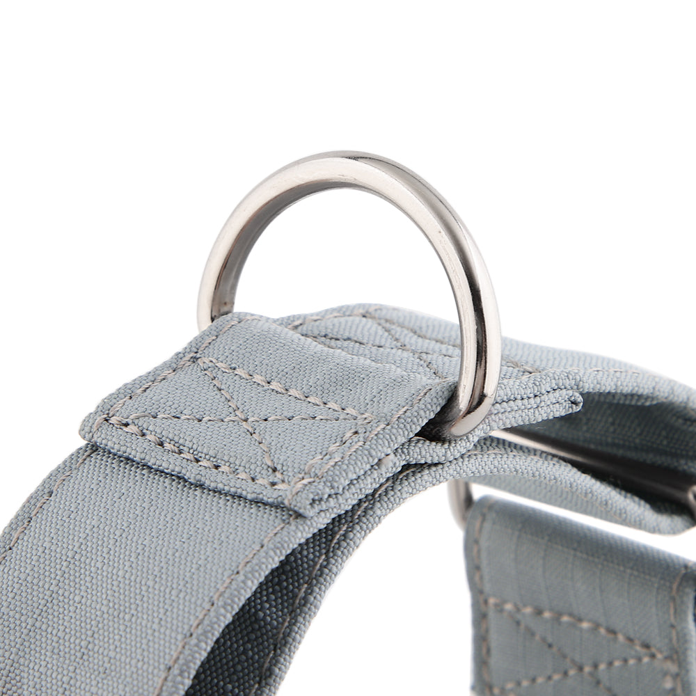 Martingale Collar - Grey | Whippets & Greyhounds