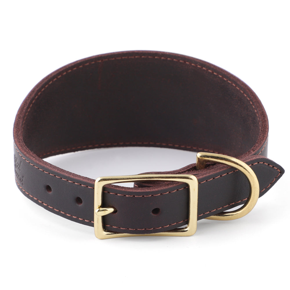 rear view of leather greyhound collar