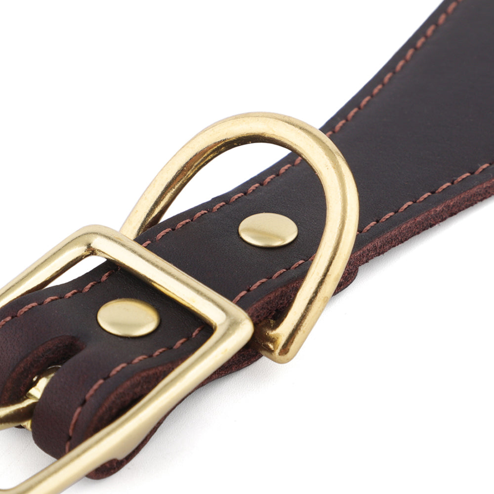 image showing finishing on leather sighthound collar