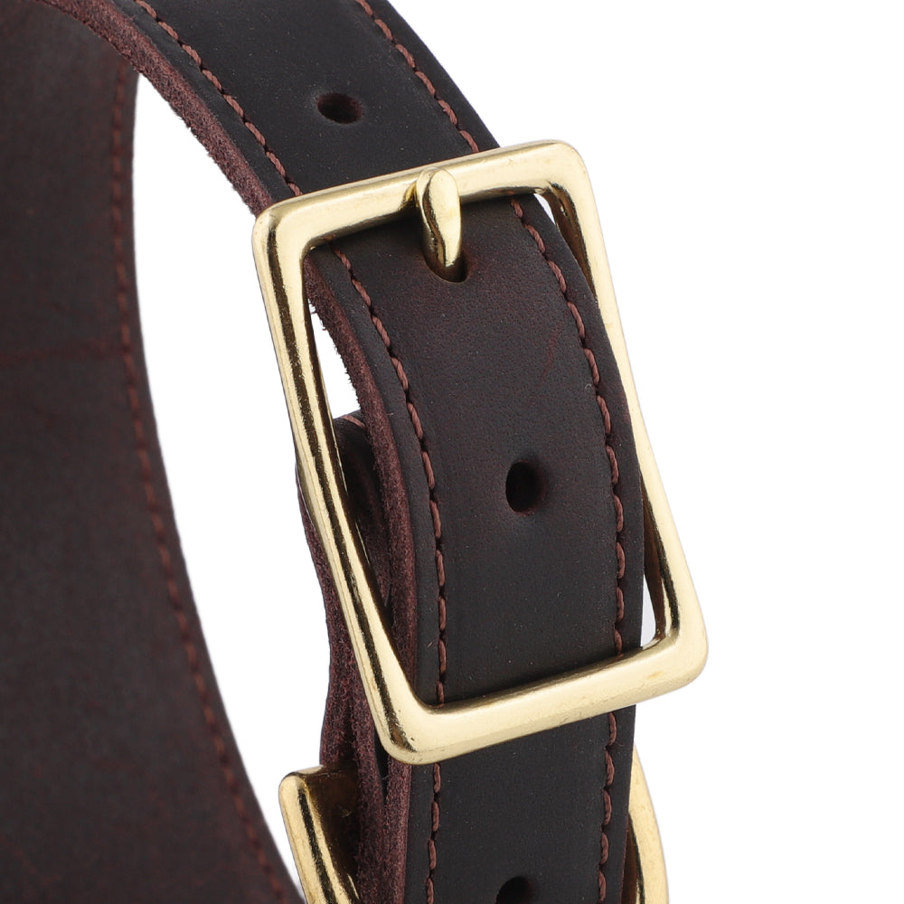 image showing buckles of leather whippet collar
