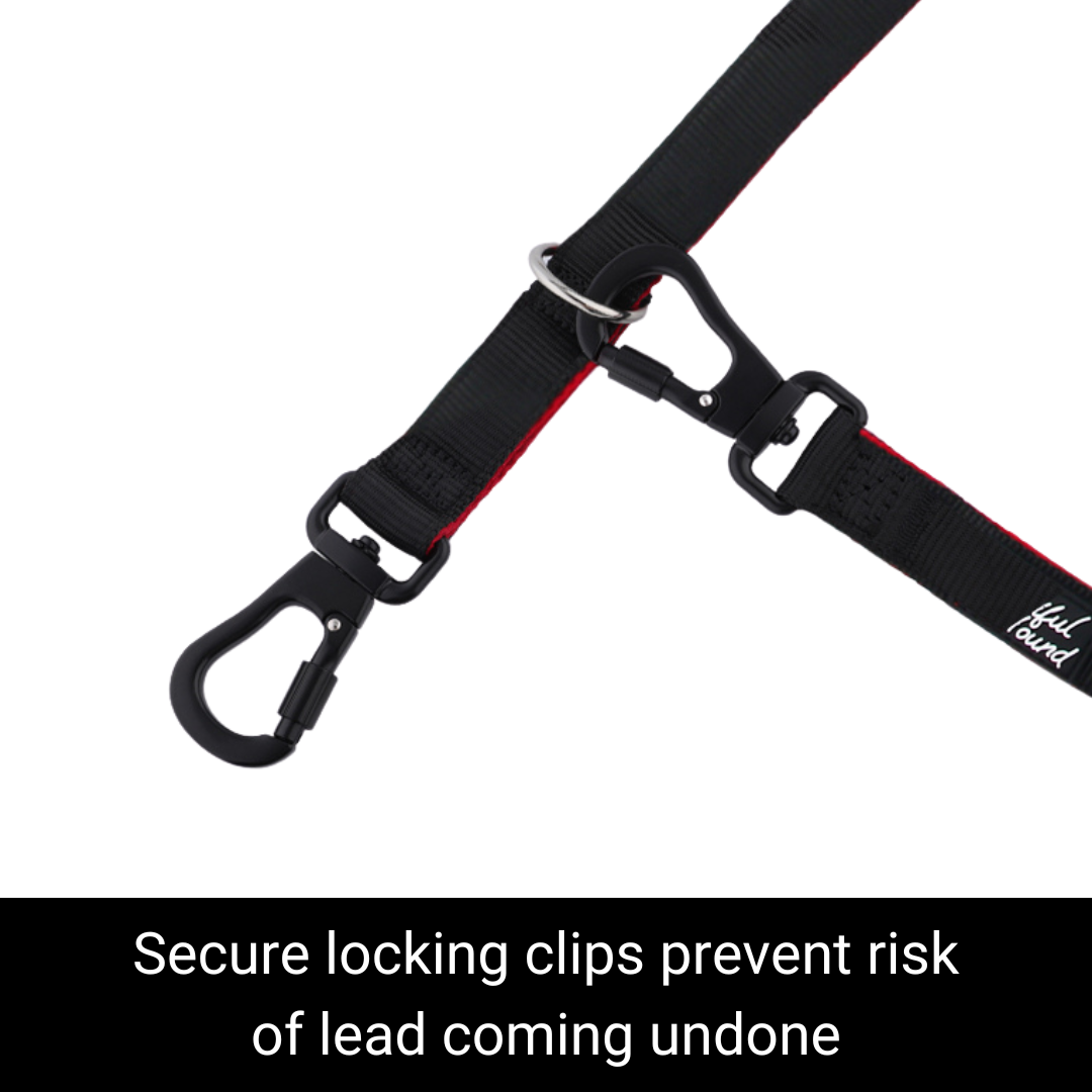 Secure Double Ended Dog Lead With Carabiner Locking Clips - Ideal for Training