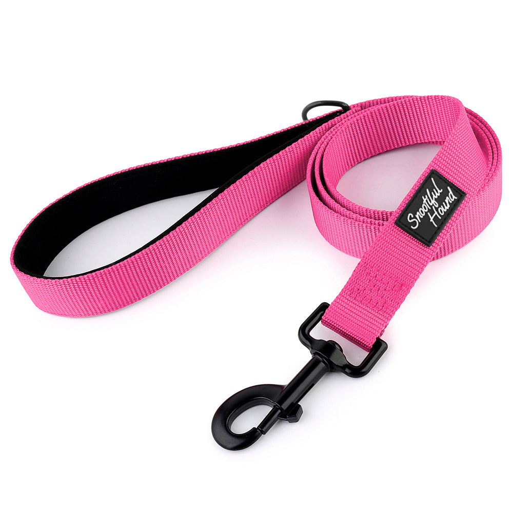 Pink lead for sighthounds