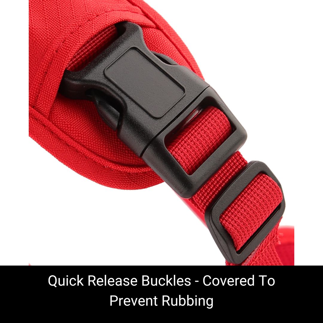 sighthound harness buckles