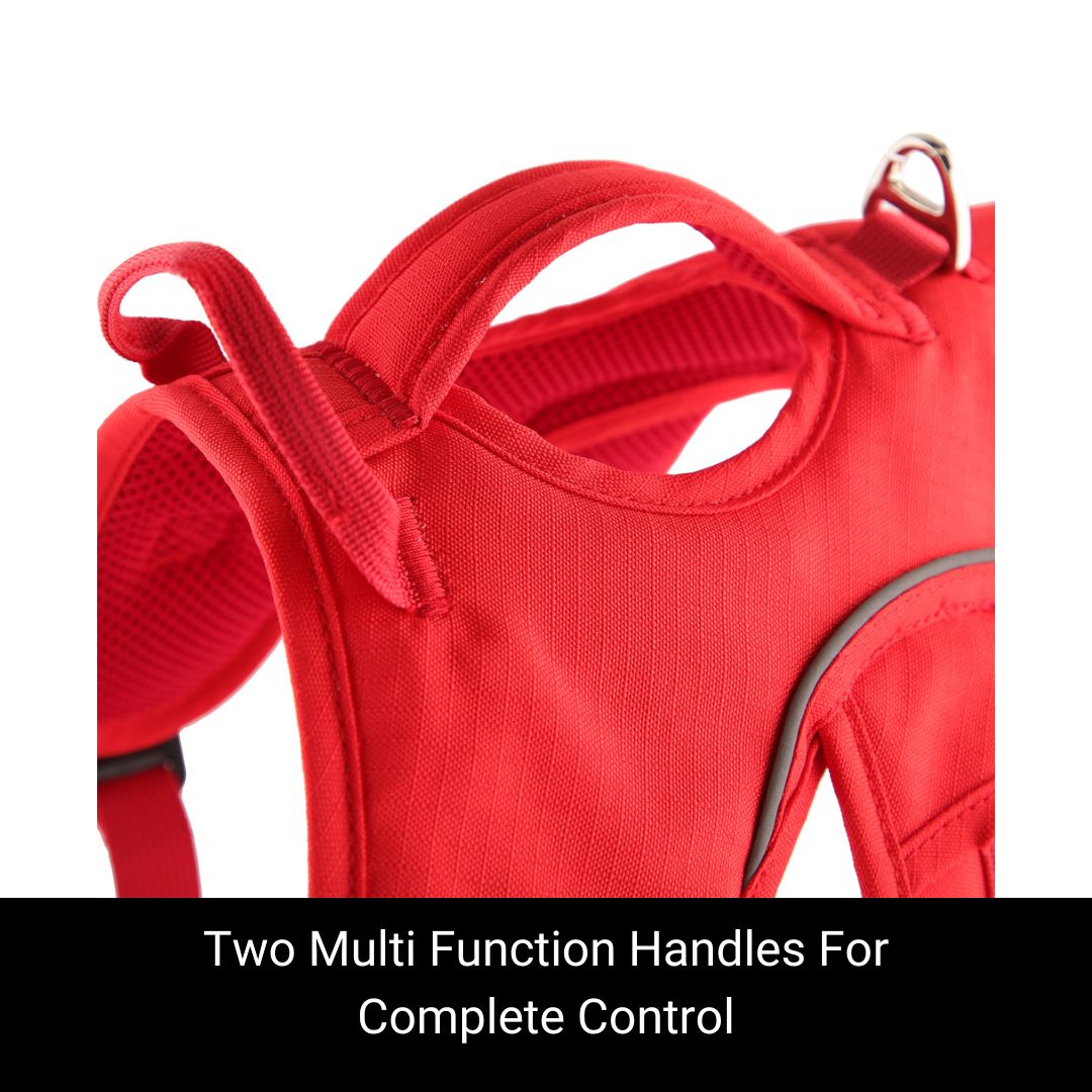 sighthound harness handles