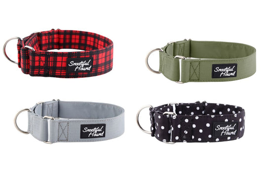 Whippet Martingale Collar: Perfect for Your Whippet