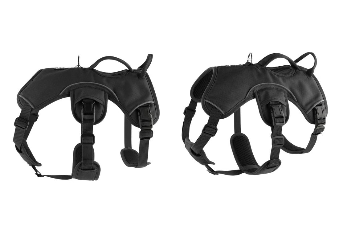 No-Escape Dog Harnesses: Stop Your Dog From Slipping Out With a 3 Point Harness
