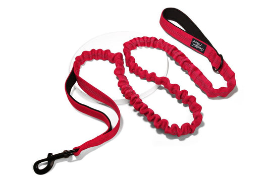 Bungee Dog Leads: how does this shock absorbing leash work?