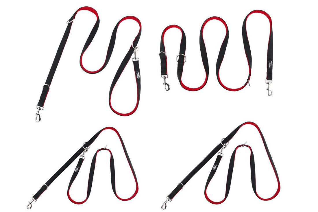 What is a double ended dog lead?