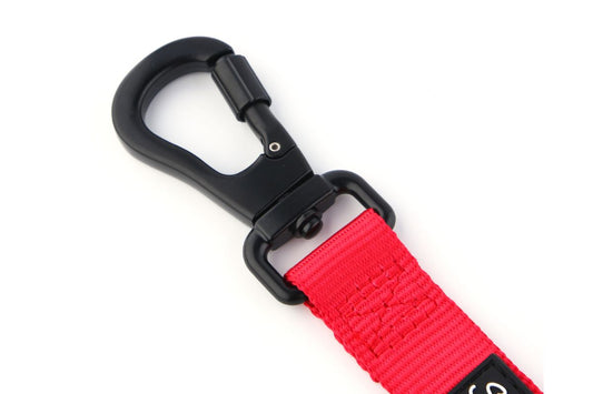 locking dog lead