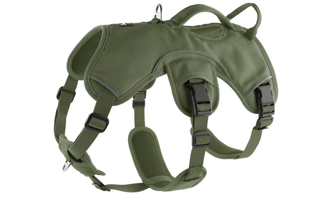 What is a no pull dog harness?