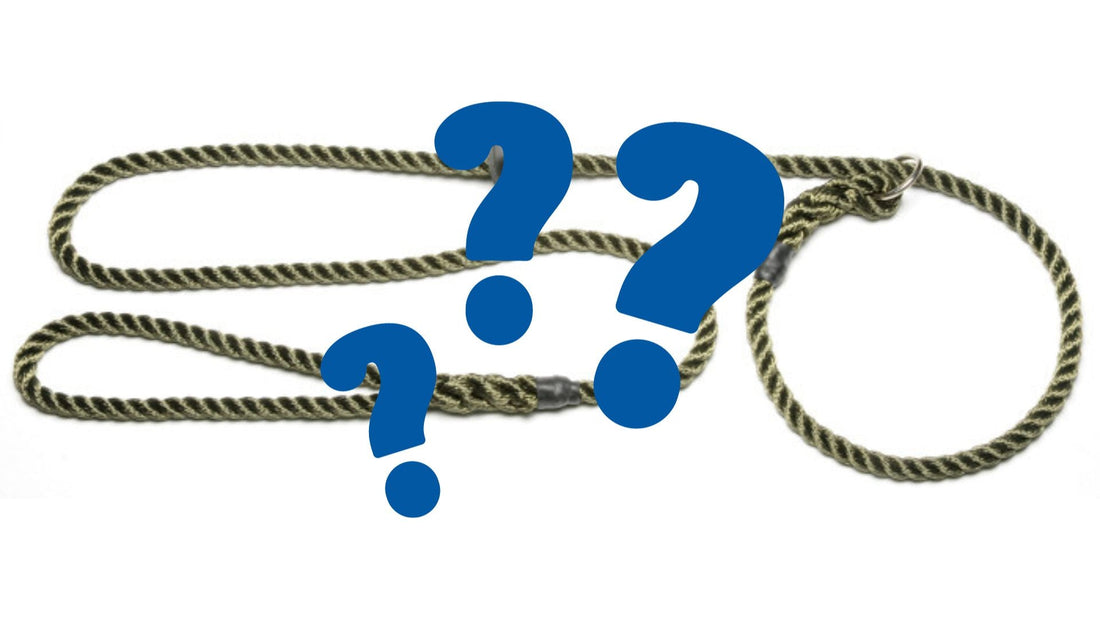 Should I Use A Slip Lead With My Sighthound?