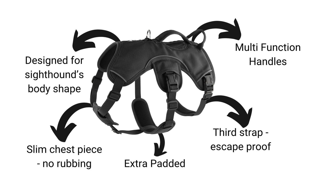 black sighthound harness features and benefits