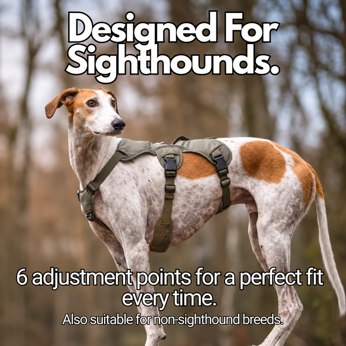 Sighthound Harness | Whippets, Greyhounds & Lurchers | Escape Proof