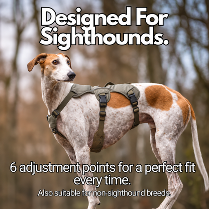 Sighthound Harness | Whippets, Greyhounds & Lurchers | Escape Proof