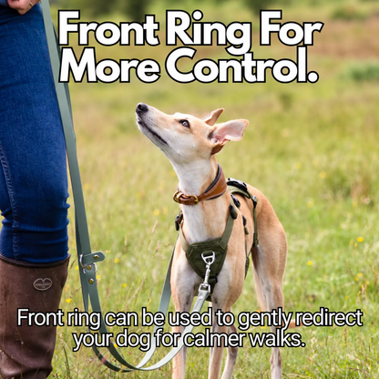 Sighthound Harness | Whippets, Greyhounds & Lurchers | Escape Proof