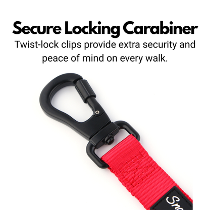 Secure Locking Dog Lead With Carabiner Clip - Padded Handle