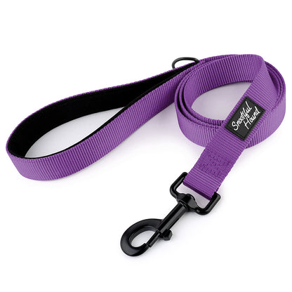 Comfort Padded Handle Dog Lead
