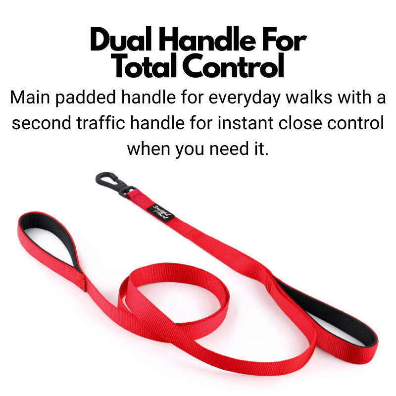 Secure Double Handle Dog Lead - Two Padded Handles & Carabiner Locking Clip