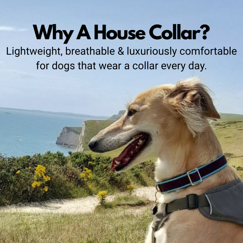 House Collar - Organic Bamboo & Soft Velvet Lining - Quick Release Buckle