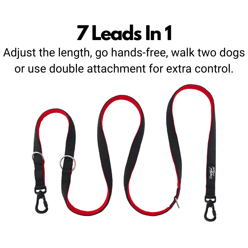 Secure Double Ended Dog Lead With Carabiner Locking Clips - Ideal for Training