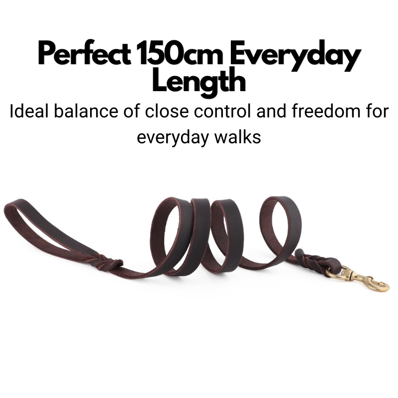 Leather Dog Lead - 150cm - Braided Finish