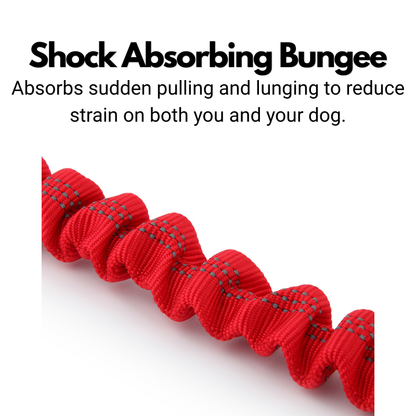 Bungee Dog Lead - Shock Absorbing Lead With Double Handles