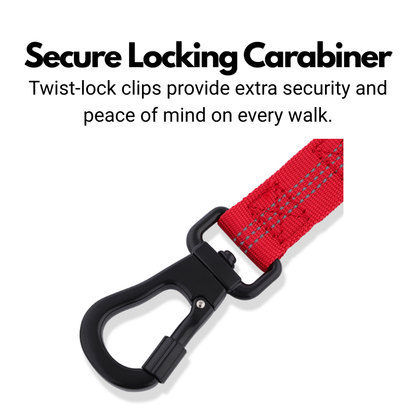Secure Bungee Dog Lead With Carabiner Locking Clip - Double Handle