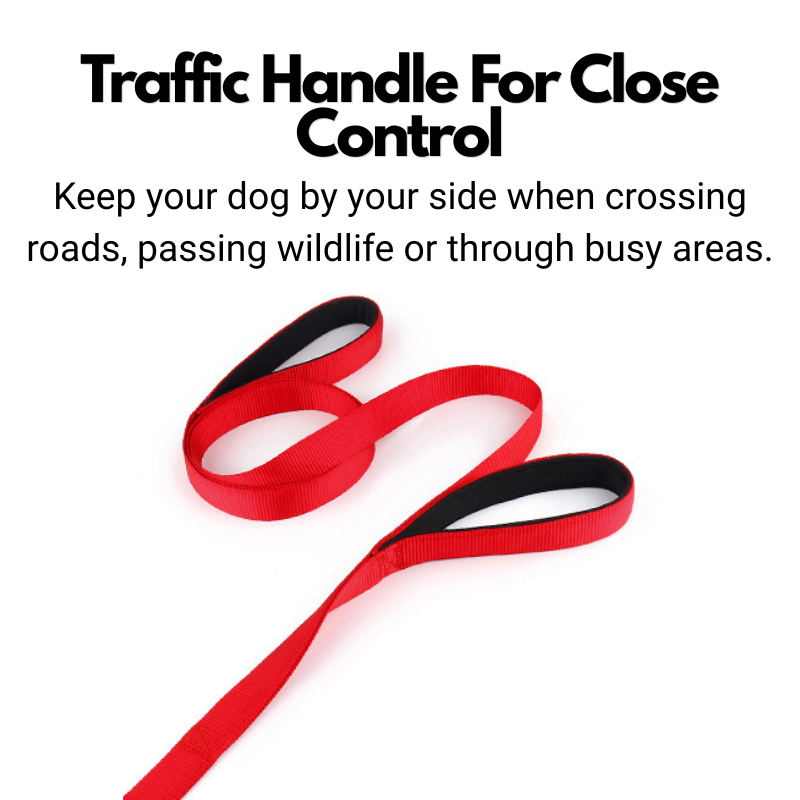 Double Handle Dog Lead - Padded Dog Leash With Two Handles - 180cm
