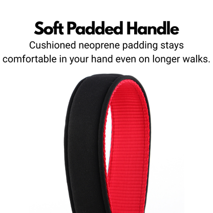 Secure Locking Dog Lead With Carabiner Clip - Padded Handle