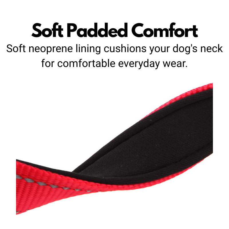 ID Dog Collar - Padded & Reflective- Greyhounds & Whippets