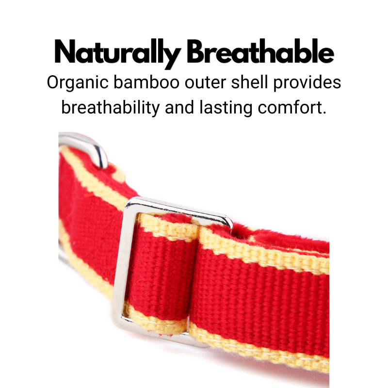 House Collar For Greyhounds & Whippets - Buckleless, Organic Bamboo & Soft Velvet Lining