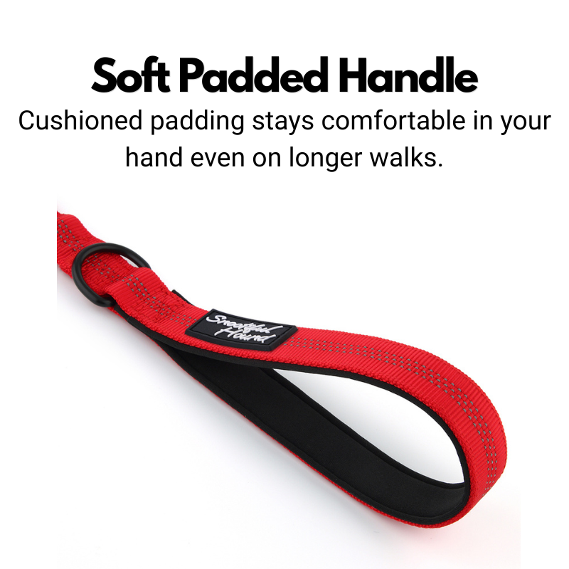 Bungee Dog Lead - Shock Absorbing Lead With Double Handles