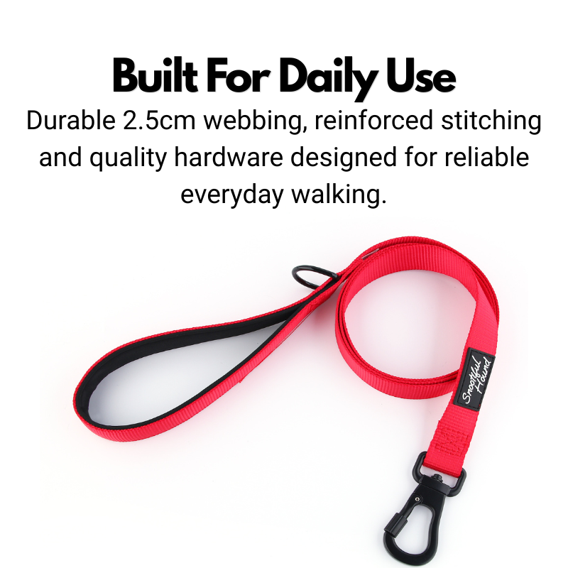 Secure Locking Dog Lead With Carabiner Clip - Padded Handle
