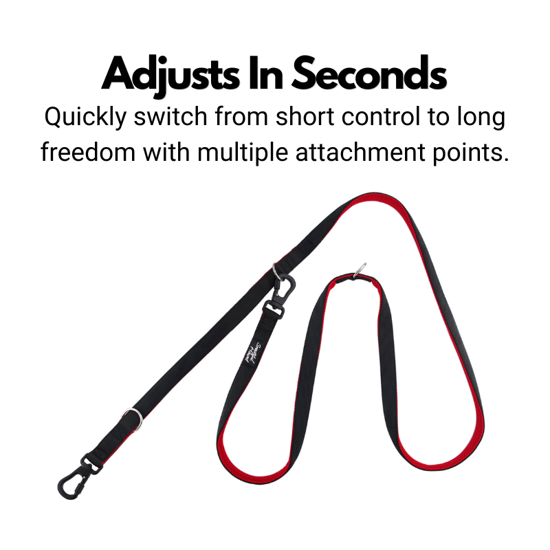 Secure Double Ended Dog Lead With Carabiner Locking Clips - Ideal for Training