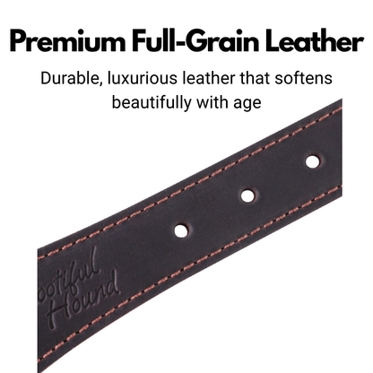 Leather Fishtail Collar For Whippets, Greyhounds and Lurchers
