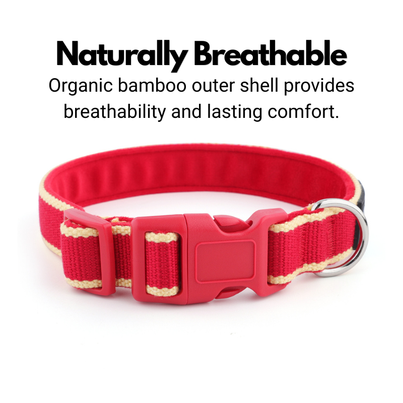 House Collar - Organic Bamboo & Soft Velvet Lining - Quick Release Buckle